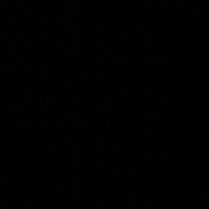 Meet your Posher, Tori